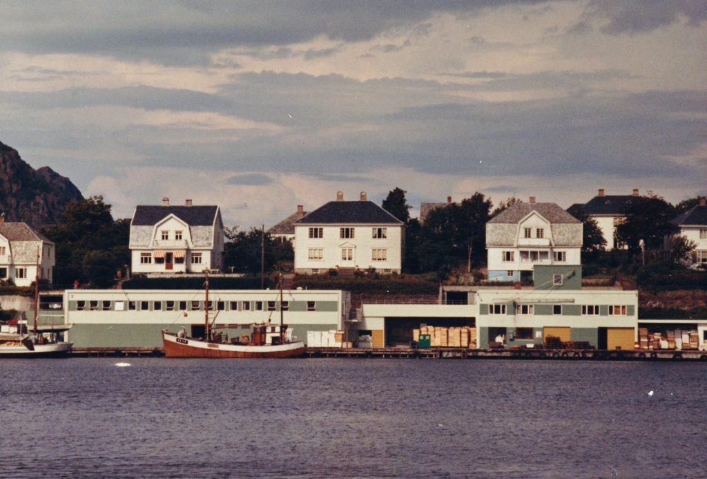 Fryselageret fra ble bygd i 1965. Det har igjennom årene vært flere aktiviteter i bygget i tillegg til fryselageret. Nevnes kan: Samvirke Forsikring 1994. Vesta Forsikring 2001-07. Farsund Havnevesen fra 2002. BUA og AEgir Havbruk.  Foto: Privat.